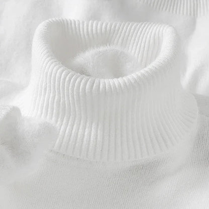 ARLO - Sweter z wełny merino z wysokim kołnierzem